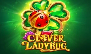 Clover Ladybug